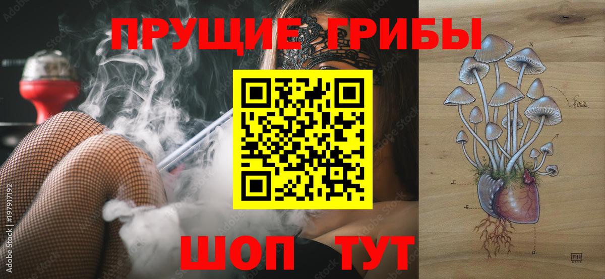 Унеча  Псилоцибиновые грибы Psilocybine cubensis  Вход с VPN  Галлюциногенные грибы ЛСД 